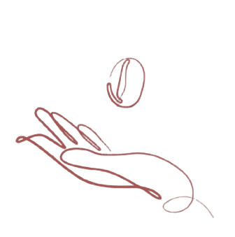 Acompañamiento Experto